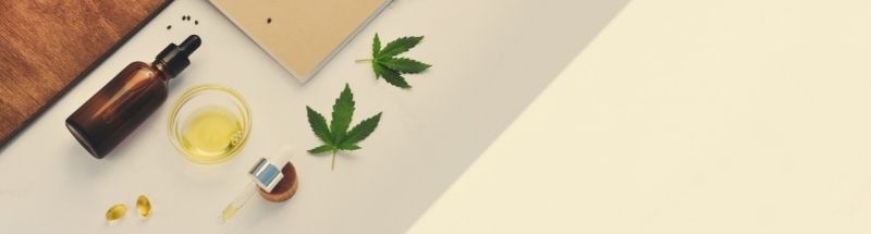 El Cannabidiol (CBD)
