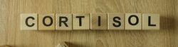 “El cortisol no es malo… pero la sobredosis, sí”