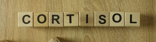 “El cortisol no es malo… pero la sobredosis, sí”