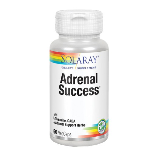 Solaray Adrenal Success 60 VegCápsulas