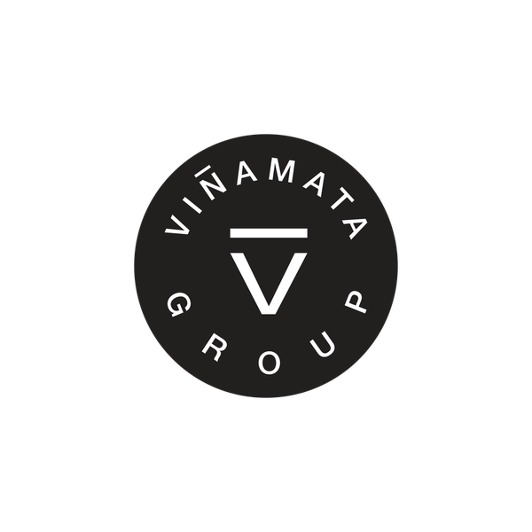Logo Viñamata Group
