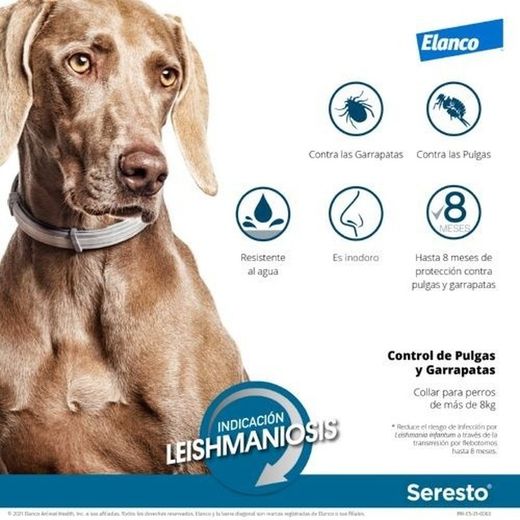 Seresto Collar Antiparasitario para Perros de Larga Duración Más de 8kg